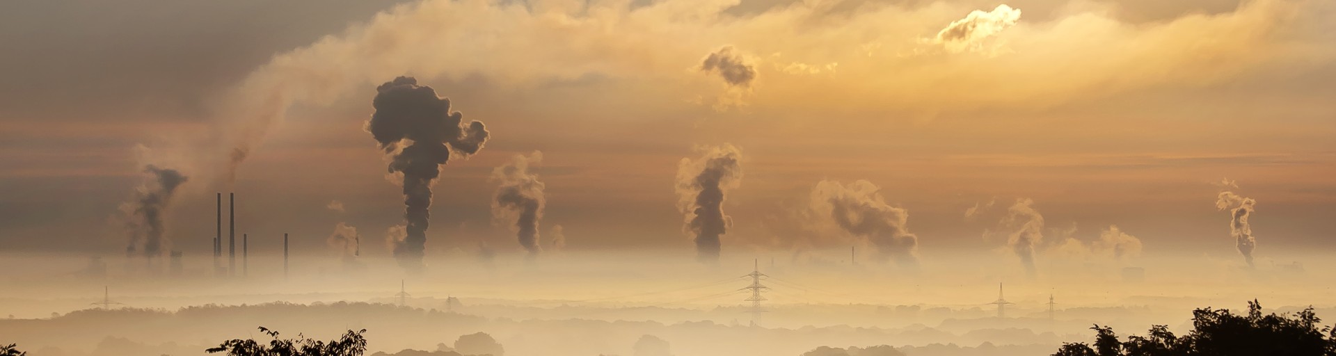 Mercado voluntário de carbono em plena expansão