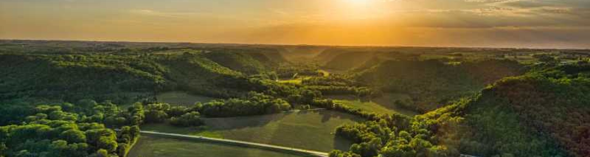 Você sabe quais as principais diferenças, ou evolução, dos créditos REDD+ em relação aos créditos REDD?