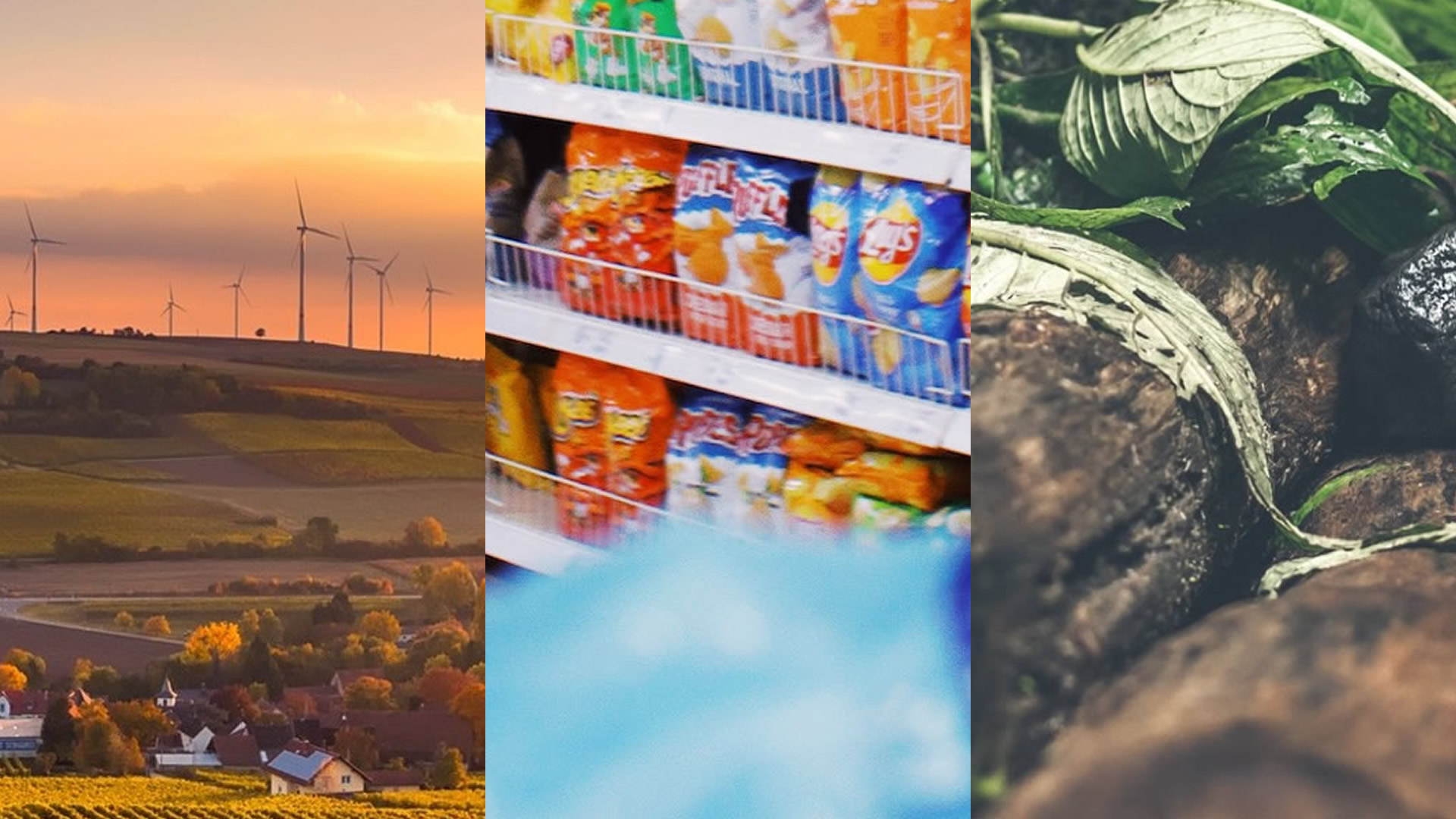 carousel desktop image