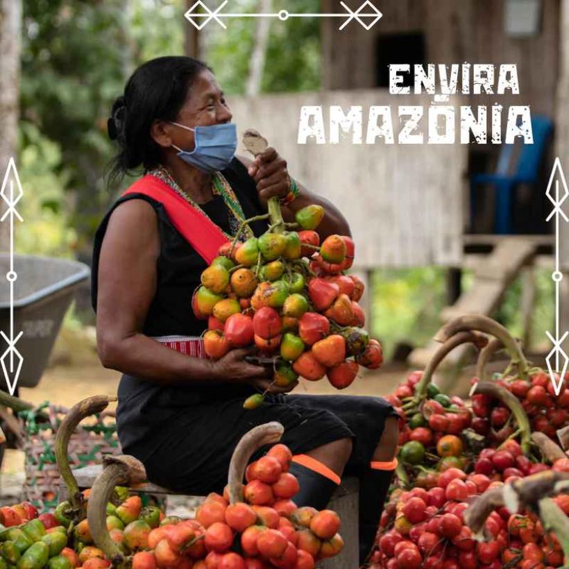 Você conhece um projeto de geração de créditos de carbono NBS? Sabe quais benefícios um projeto REDD+, oferece para a comunidade local?