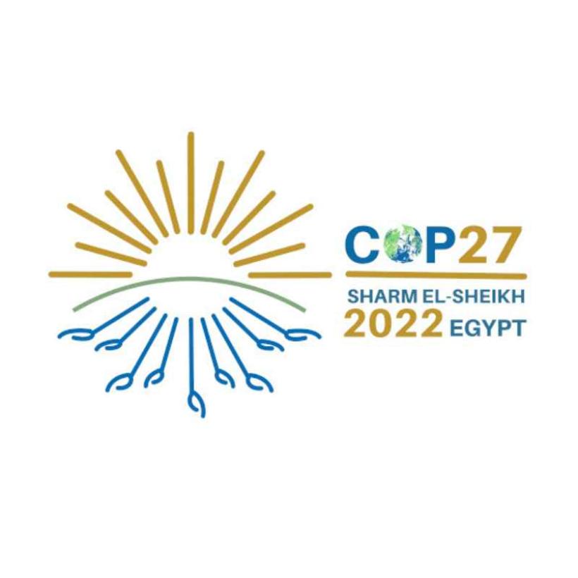 Quais foram os principais acordos do clima e o que são COP’s?